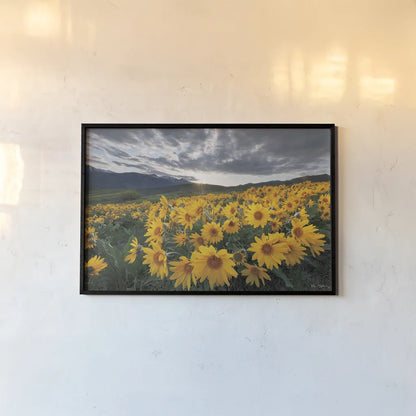 250422 85716 by Alan Majchrowicz. shown as a paper print in a black flame. Available as a archival giclee rolled canvas, fine art paper, or poster print. SKU 101138i.