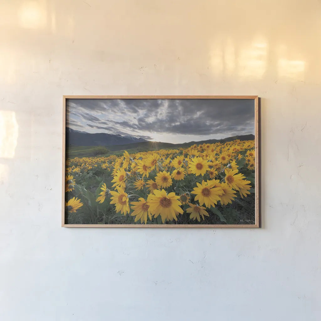 250422 85716 by Alan Majchrowicz. shown as a paper print in a natural frame. Available as a archival giclee rolled canvas, fine art paper, or poster print. SKU 101138i.