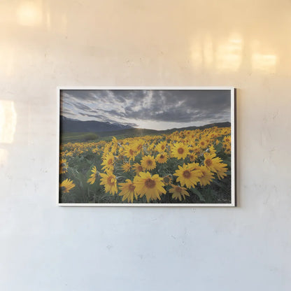 250422 85716 by Alan Majchrowicz. shown as a paper print in a white frame. Available as a archival giclee rolled canvas, fine art paper, or poster print. SKU 101138i.