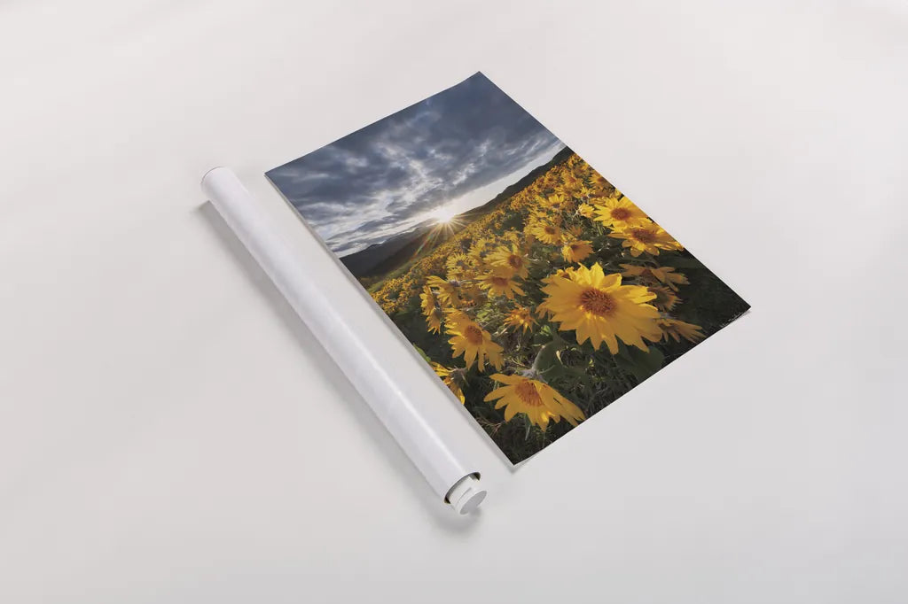 250422 85729 by Alan Majchrowicz. shown as a rolled paper print. Available as archival giclee rolled canvas, fine art paper, or poster print. SKU 101140h.