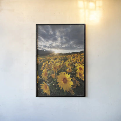 250422 85729 by Alan Majchrowicz. shown as a paper print in a black flame. Available as a archival giclee rolled canvas, fine art paper, or poster print. SKU 101140h.