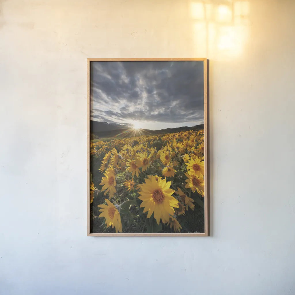 250422 85729 by Alan Majchrowicz. shown as a paper print in a natural frame. Available as a archival giclee rolled canvas, fine art paper, or poster print. SKU 101140h.