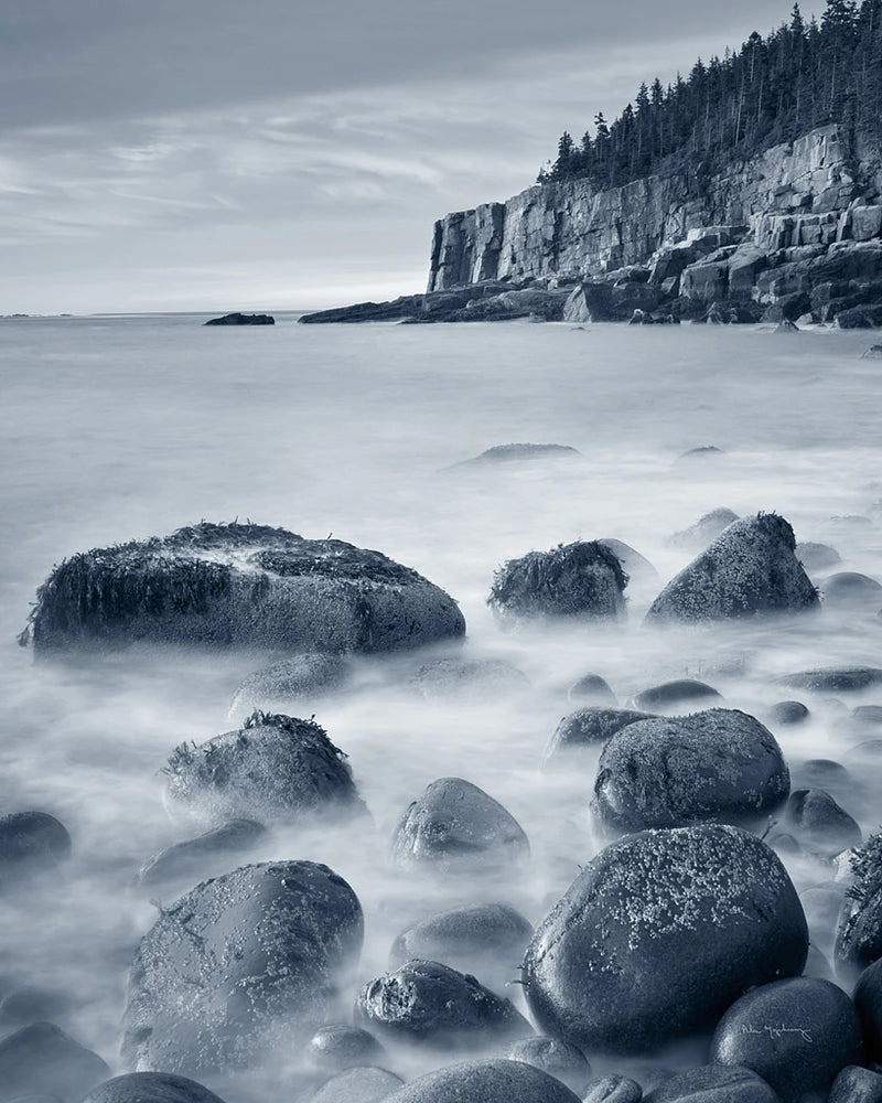 Acadia Coast Crop by Alan Majchrowicz
