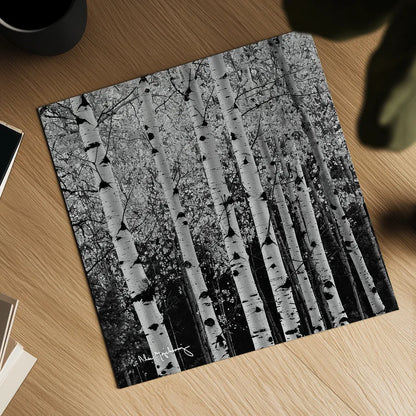 Aspens in Autumn II BW Sq by Alan Majchrowicz. Shown as a detailed flat fine art print, highlighting archival giclee quality. Available as an archival giclee rolled canvas, fine art paper, or poster print. SKU 7892a.