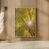 Autumn Foliage Sunburst I by Alan Majchrowicz. shown as over sized large wall art. Available as an archival giclee rolled canvas, fine art paper, or poster print. SKU 52762h.
