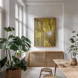 Autumn Foliage Sunburst I by Alan Majchrowicz. shown as a print in a natural wood frame in a dining room. Available as a archival giclee rolled canvas, fine art paper, or poster print. SKU 52762h.