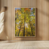 Autumn Foliage Sunburst III by Alan Majchrowicz. shown as over sized large wall art. Available as an archival giclee rolled canvas, fine art paper, or poster print. SKU 52764h.