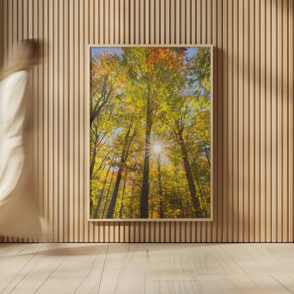 Autumn Foliage Sunburst III by Alan Majchrowicz. shown as over sized large wall art. Available as an archival giclee rolled canvas, fine art paper, or poster print. SKU 52764h.