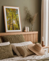 Autumn Foliage Sunburst III by Alan Majchrowicz. shown as a paper print in a natural frame. Available as a archival giclee rolled canvas, fine art paper, or poster print. SKU 52764h.