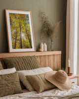 Autumn Forest I by Alan Majchrowicz. shown as a paper print in a natural frame. Available as a archival giclee rolled canvas, fine art paper, or poster print. SKU 30216h.
