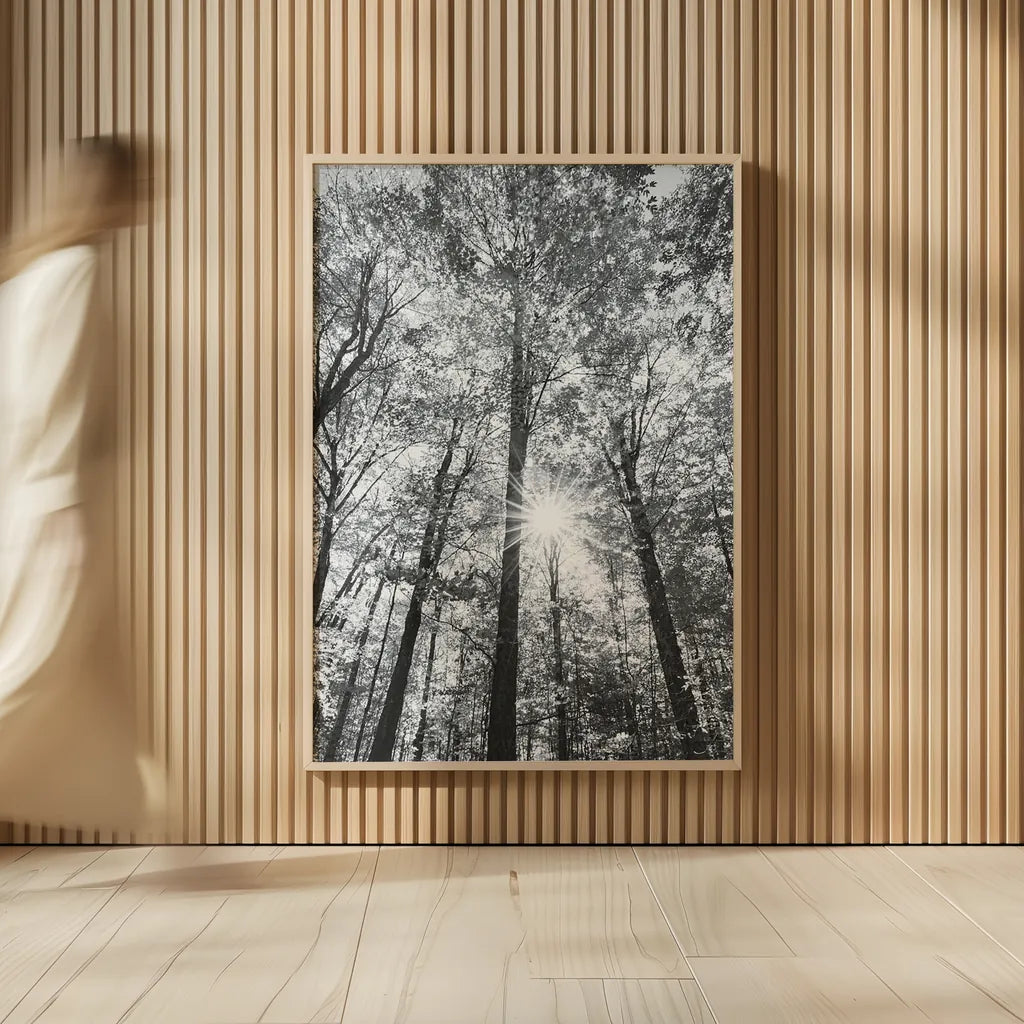 Autumn Forest I BW by Alan Majchrowicz. shown as over sized large wall art. Available as an archival giclee rolled canvas, fine art paper, or poster print. SKU 30779h.