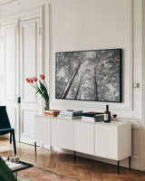 Autumn Forest III BW by Alan Majchrowicz. shown as a framed stretched canvas in a living room above a console. Available as a archival giclee rolled canvas, fine art paper, or poster print. SKU 30780i.