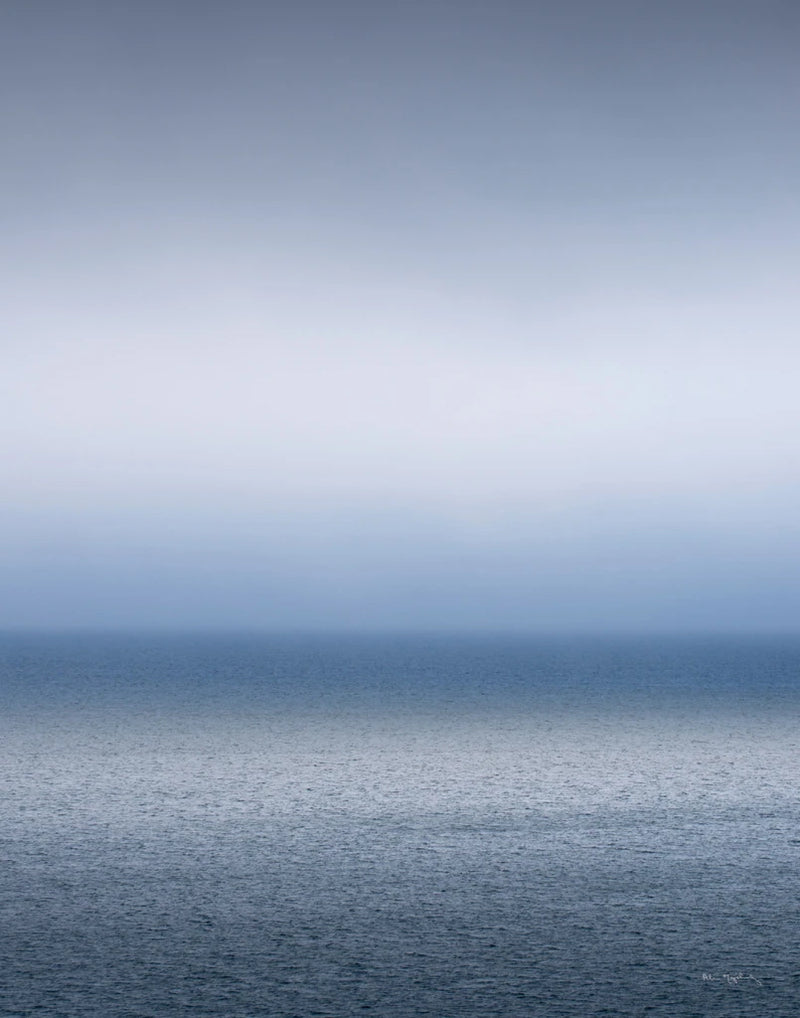 Bay of Fundy Fog Crop by Alan Majchrowicz