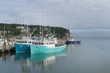 Bay of Fundy I by Alan Majchrowicz. SKU 47837i. Archival Giclee Fine art print for wall decor.
