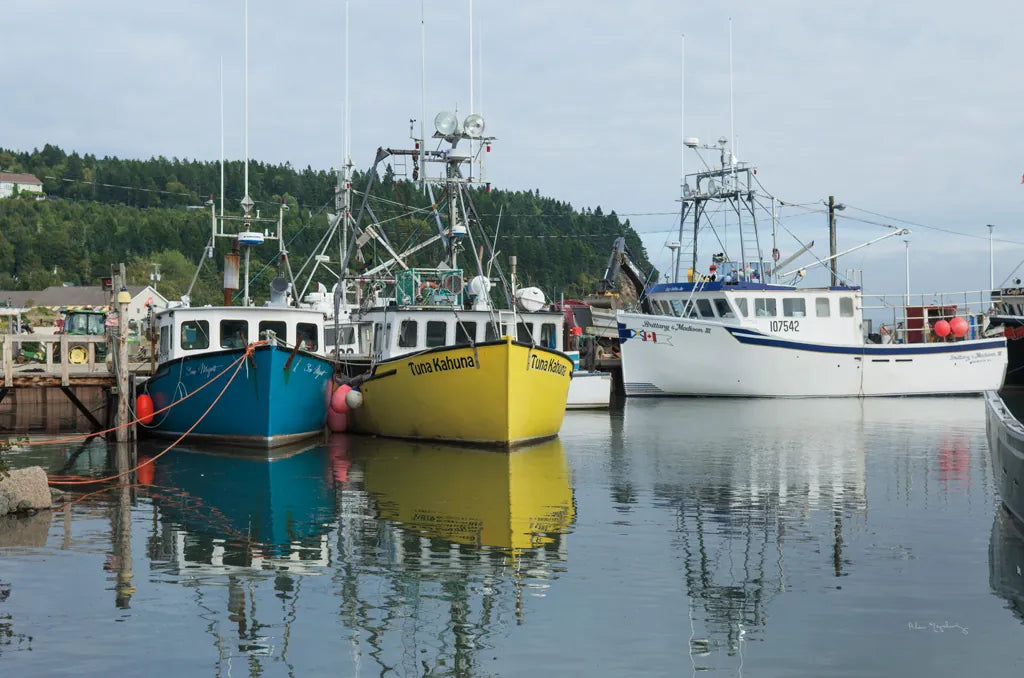 Bay of Fundy II by Alan Majchrowicz. SKU 47838i. Archival Giclee Fine art print for wall decor.