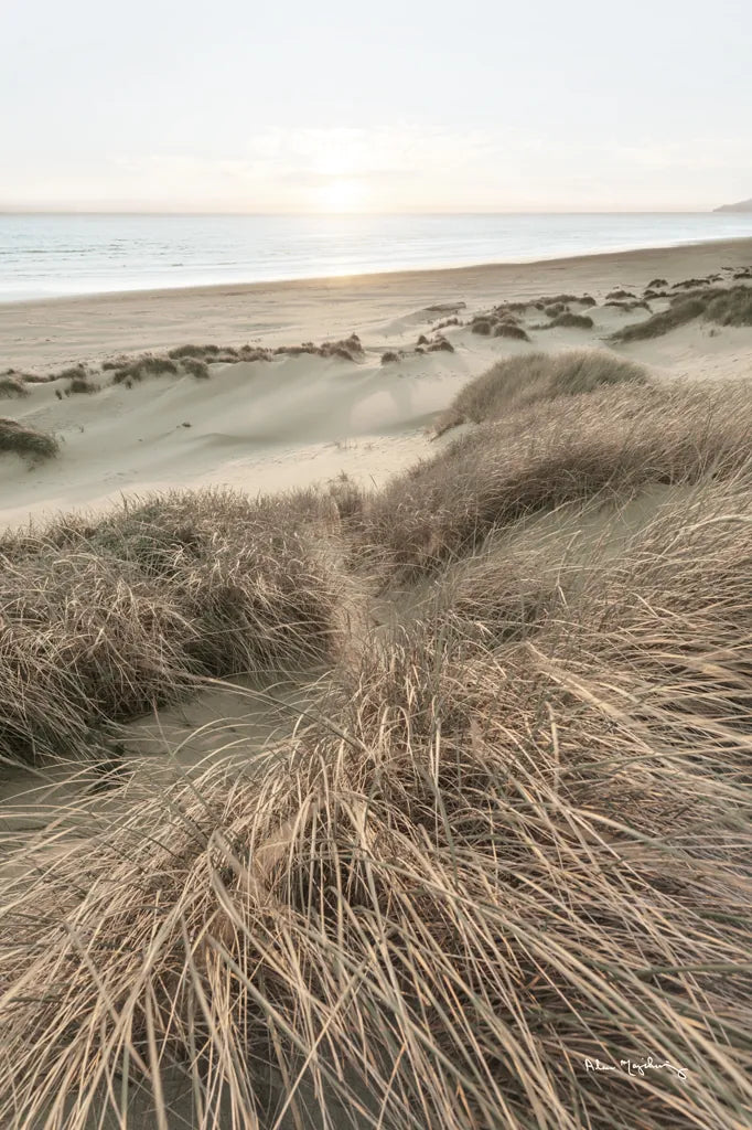 Beach Grasses by Alan Majchrowicz. SKU 70364h. Archival Giclee Fine art print for wall decor.