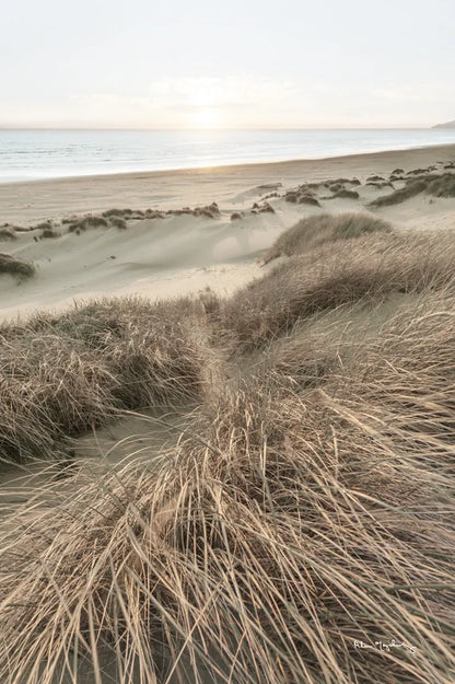 Beach Grasses by Alan Majchrowicz. SKU 70364h. Archival Giclee Fine art print for wall decor.