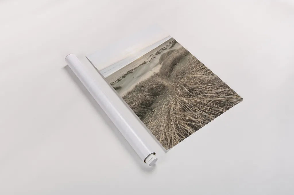 Beach Grasses by Alan Majchrowicz. shown as a rolled paper print. Available as archival giclee rolled canvas, fine art paper, or poster print. SKU 70364h.