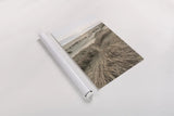 Beach Grasses by Alan Majchrowicz. shown as a rolled paper print. Available as archival giclee rolled canvas, fine art paper, or poster print. SKU 70364h.