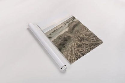 Beach Grasses by Alan Majchrowicz. shown as a rolled paper print. Available as archival giclee rolled canvas, fine art paper, or poster print. SKU 70364h.