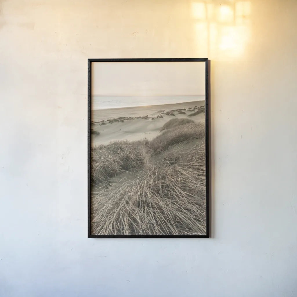 Beach Grasses by Alan Majchrowicz. shown as a paper print in a black flame. Available as a archival giclee rolled canvas, fine art paper, or poster print. SKU 70364h.