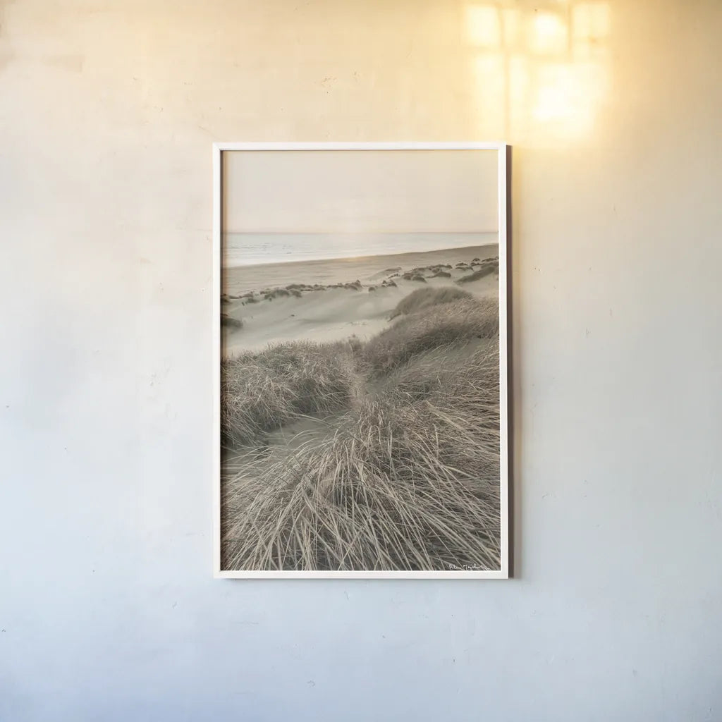 Beach Grasses by Alan Majchrowicz. shown as a paper print in a white frame. Available as a archival giclee rolled canvas, fine art paper, or poster print. SKU 70364h.