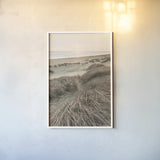Beach Grasses by Alan Majchrowicz. shown as a paper print in a white frame. Available as a archival giclee rolled canvas, fine art paper, or poster print. SKU 70364h.