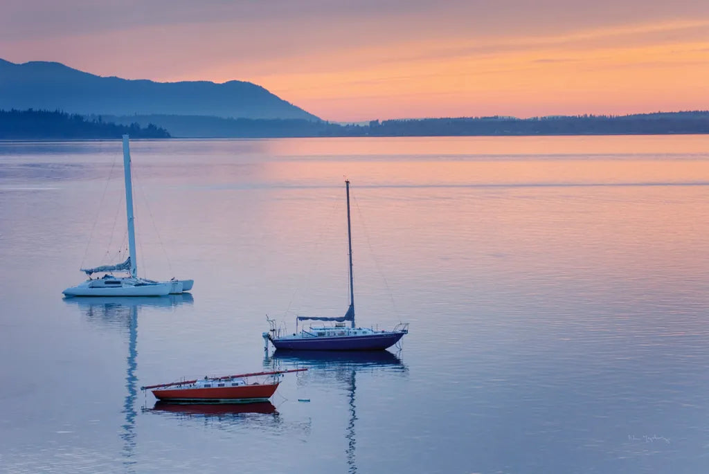 Bellingham Bay by Alan Majchrowicz. SKU 47841i. Archival Giclee Fine art print for wall decor.