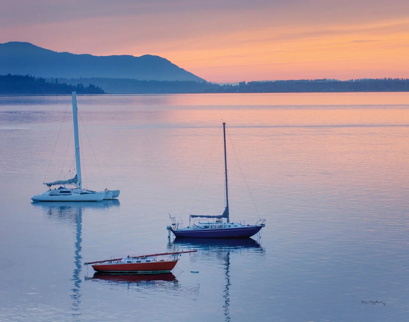 Bellingham Bay Crop by Alan Majchrowicz