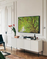 Big Leaf Maple Trees II by Alan Majchrowicz. shown as a framed stretched canvas in a living room above a console. Available as a archival giclee rolled canvas, fine art paper, or poster print. SKU 52758i.