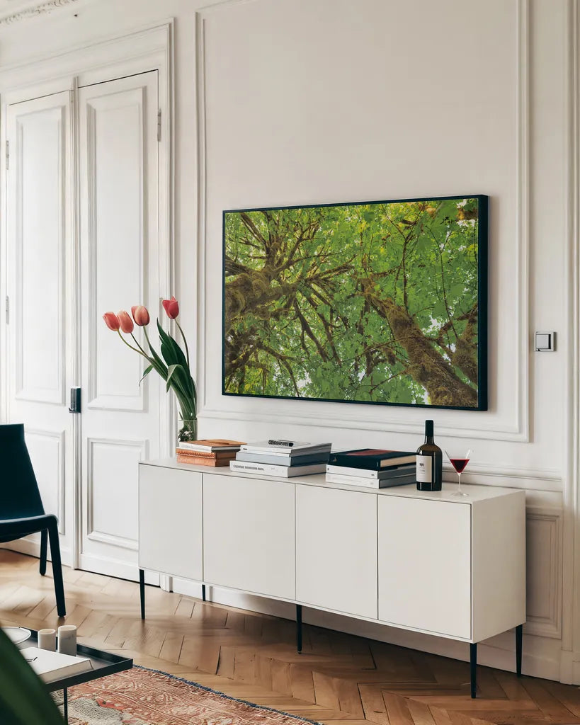 Big Leaf Maple Trees III by Alan Majchrowicz. shown as a framed stretched canvas in a living room above a console. Available as a archival giclee rolled canvas, fine art paper, or poster print. SKU 52759i.