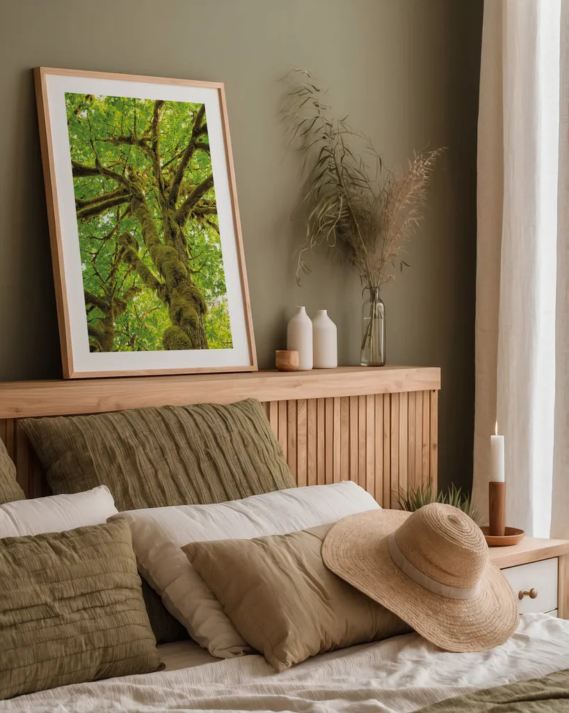 Big Leaf Maple Trees IV by Alan Majchrowicz. shown as a paper print in a natural frame. Available as a archival giclee rolled canvas, fine art paper, or poster print. SKU 52760h.