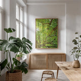 Big Leaf Maple Trees V by Alan Majchrowicz. shown as a print in a natural wood frame in a dining room. Available as a archival giclee rolled canvas, fine art paper, or poster print. SKU 52761h.