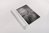 Big Sable Point Lighthouse I BW by Alan Majchrowicz. shown as a rolled paper print. Available as archival giclee rolled canvas, fine art paper, or poster print. SKU 50034h.