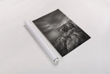Bonavista Peninsula by Alan Majchrowicz. shown as a rolled paper print. Available as archival giclee rolled canvas, fine art paper, or poster print. SKU 88895h.
