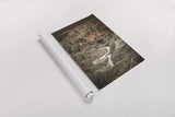 Borrego Badlands by Alan Majchrowicz. shown as a rolled paper print. Available as archival giclee rolled canvas, fine art paper, or poster print. SKU 86296h.