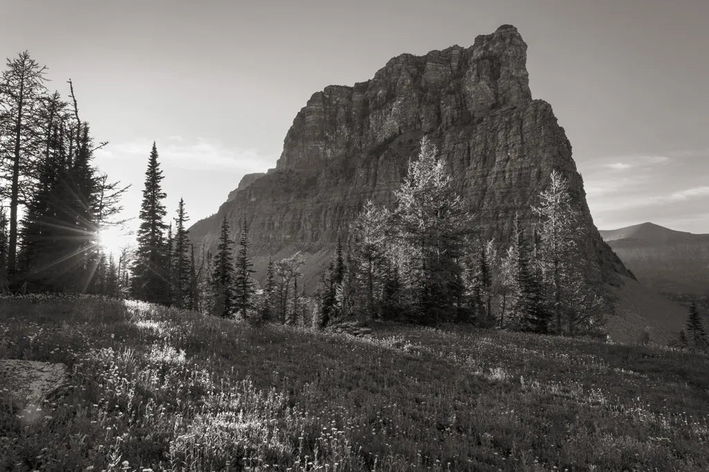 Boulder Pass Glacier National Park BW by Alan Majchrowicz. SKU 71342i. Archival Giclee Fine art print for wall decor.