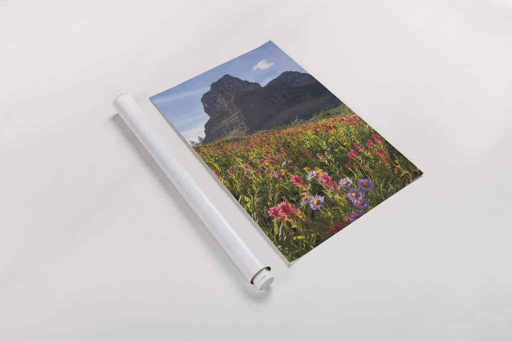 Boulder Pass Wildflowers by Alan Majchrowicz. shown as a rolled paper print. Available as archival giclee rolled canvas, fine art paper, or poster print. SKU 68095h.