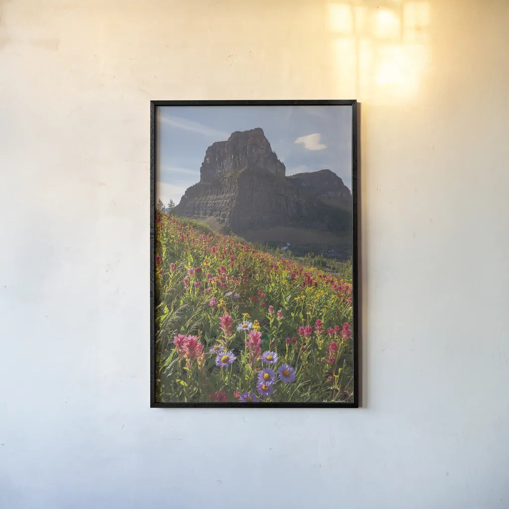 Boulder Pass Wildflowers by Alan Majchrowicz. shown as a paper print in a black flame. Available as a archival giclee rolled canvas, fine art paper, or poster print. SKU 68095h.