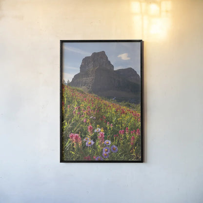 Boulder Pass Wildflowers by Alan Majchrowicz. shown as a paper print in a black flame. Available as a archival giclee rolled canvas, fine art paper, or poster print. SKU 68095h.