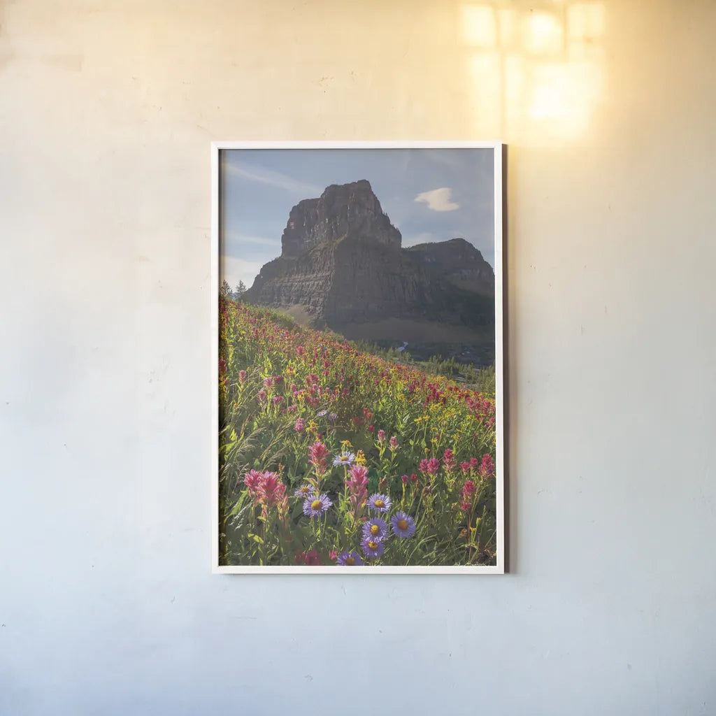 Boulder Pass Wildflowers by Alan Majchrowicz. shown as a paper print in a white frame. Available as a archival giclee rolled canvas, fine art paper, or poster print. SKU 68095h.