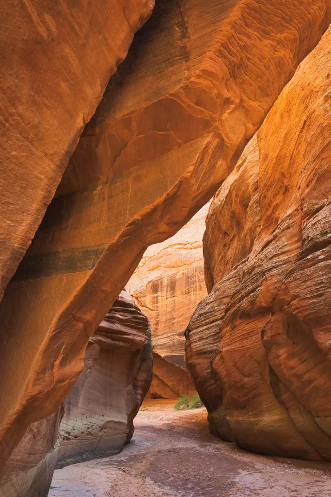 Buckskin Gulch I by Alan Majchrowicz. SKU 53472h. Archival Giclee Fine art print for wall decor.