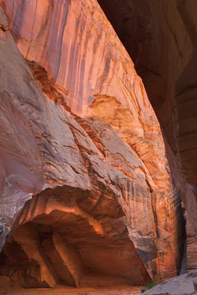 Buckskin Gulch II by Alan Majchrowicz. SKU 53473h. Archival Giclee Fine art print for wall decor.