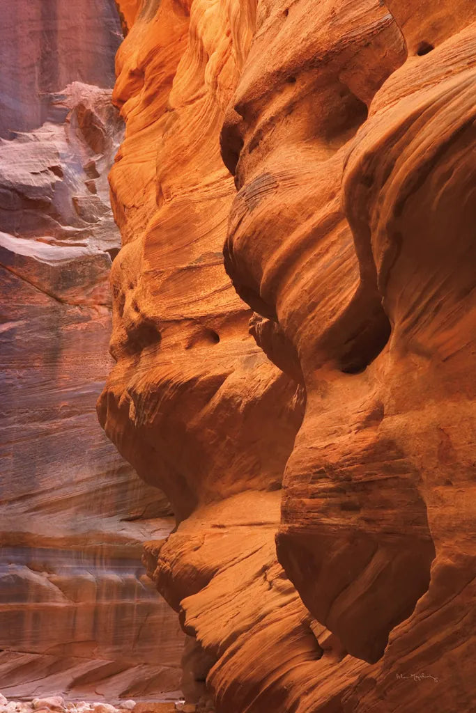Buckskin Gulch III by Alan Majchrowicz. SKU 53474h. Archival Giclee Fine art print for wall decor.