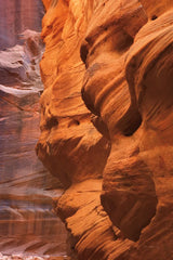 Buckskin Gulch III by Alan Majchrowicz. SKU 53474h. Archival Giclee Fine art print for wall decor.