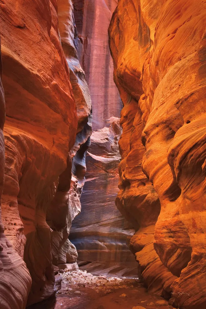 Buckskin Gulch IV by Alan Majchrowicz. SKU 53475h. Archival Giclee Fine art print for wall decor.