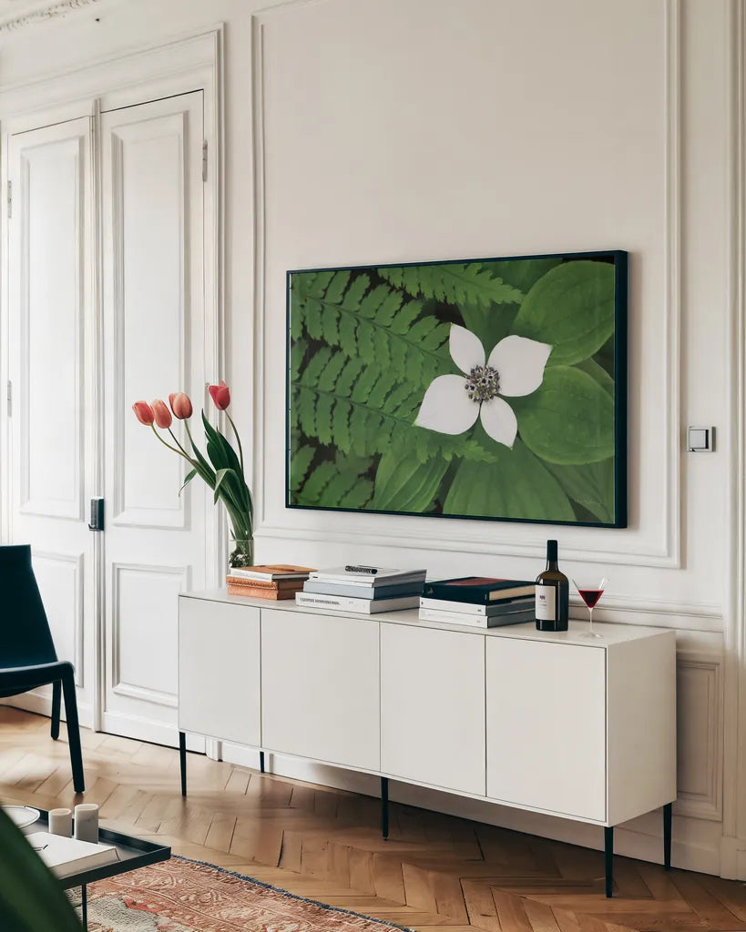 Bunchberry and Ferns II color by Alan Majchrowicz. shown as a framed stretched canvas in a living room above a console. Available as a archival giclee rolled canvas, fine art paper, or poster print. SKU 46091i.