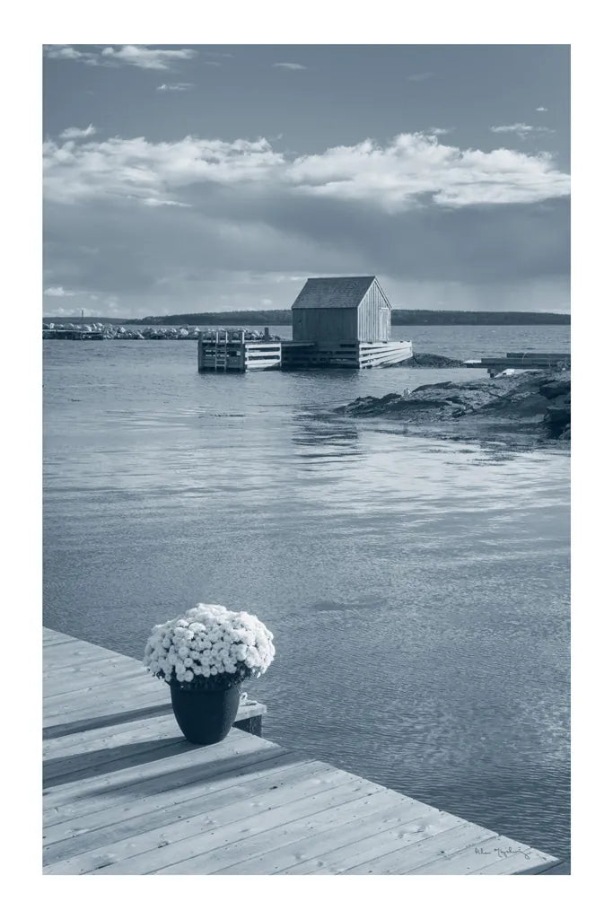 By the Sea III by Alan Majchrowicz. SKU 33899h. Archival Giclee Fine art print for wall decor.