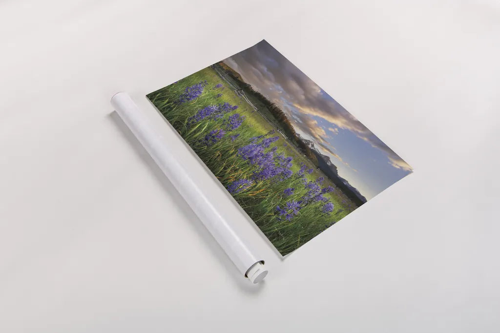 Camas Meadows by Alan Majchrowicz. shown as a rolled paper print. Available as archival giclee rolled canvas, fine art paper, or poster print. SKU 90659i.