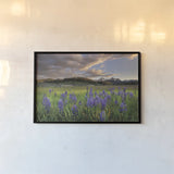 Camas Meadows by Alan Majchrowicz. shown as a paper print in a black flame. Available as a archival giclee rolled canvas, fine art paper, or poster print. SKU 90659i.